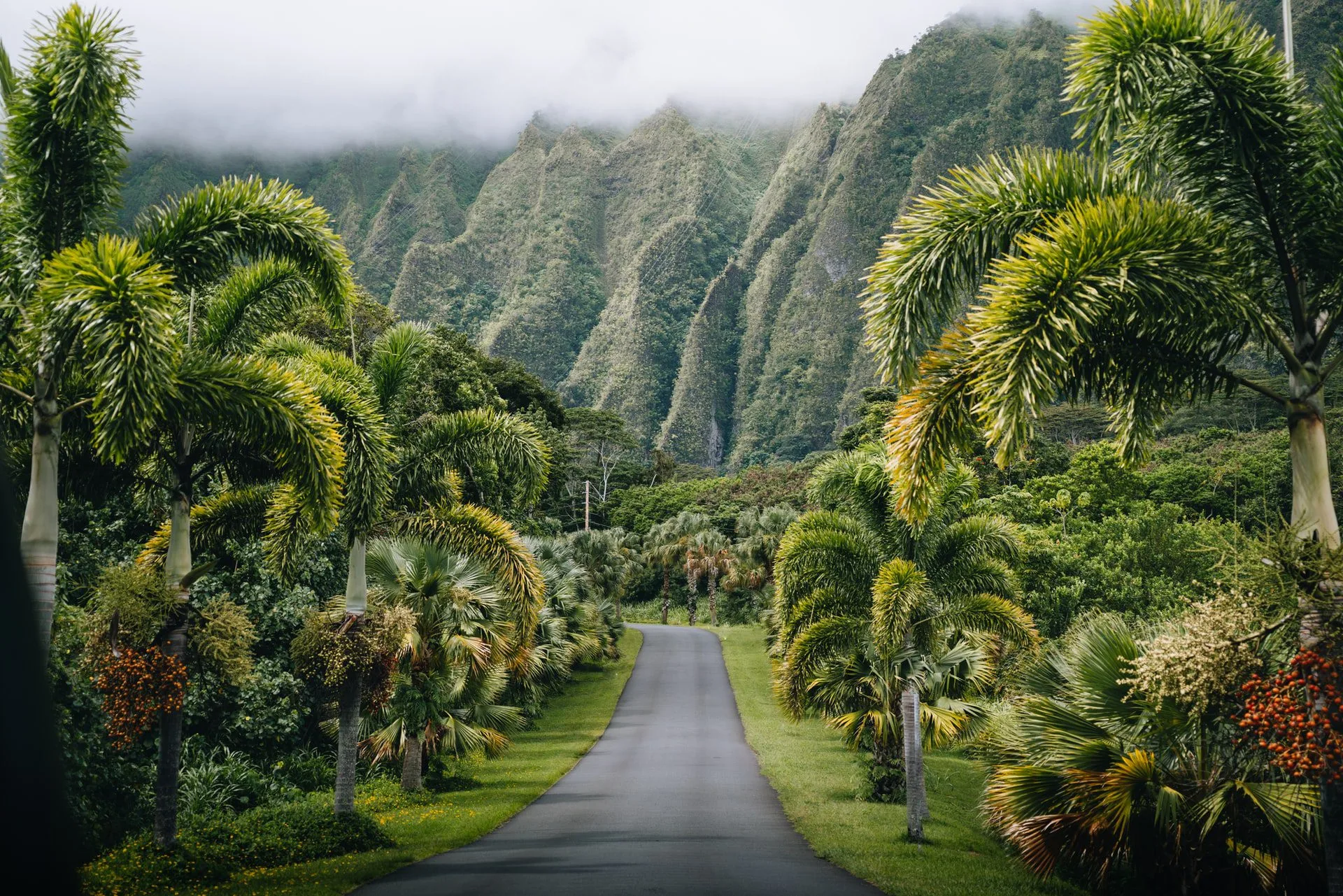 The Ultimate Oahu 4-Day Itinerary For Budget Travelers 1 Hoomaluhia Botanical Gardens 4 Day Oahu Itinerary.jpg