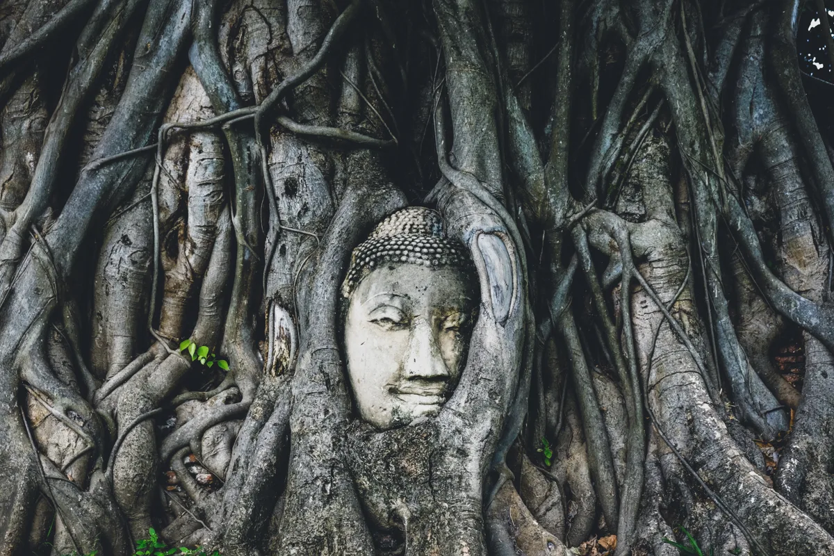 How To Visit The Ayutthaya Ruins, Temples, & Buddha Tree 1 1739078303 DSCF0814 1200.jpg