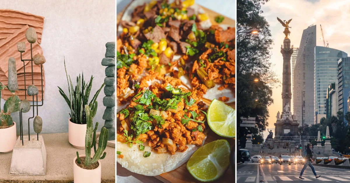 12 Things To Do While You're In Mexico City's Polanco Neighborhood 1 Things To Do In Polanco Mexico City.png