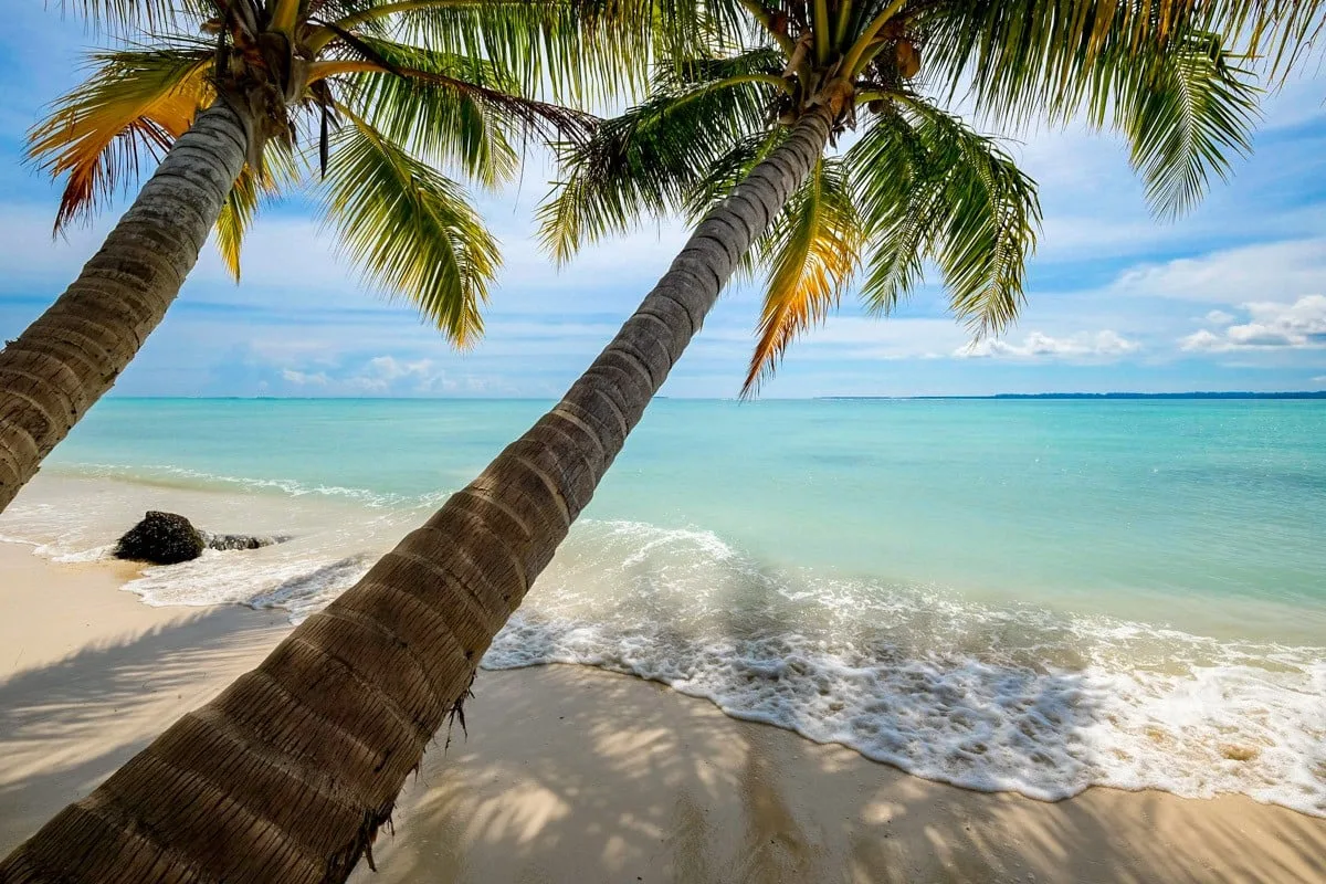 Banyak Islands Travel Guide For Sumatra, Indonesia 1 1747560853 DSCF8865 2 1200.jpg